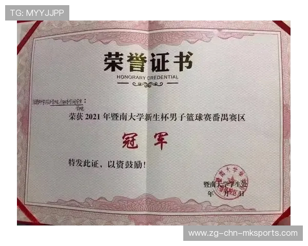 2026年篮球联赛青训营志愿者管理系统新增荣誉证书电子查询功能,篮球运动员证书查询